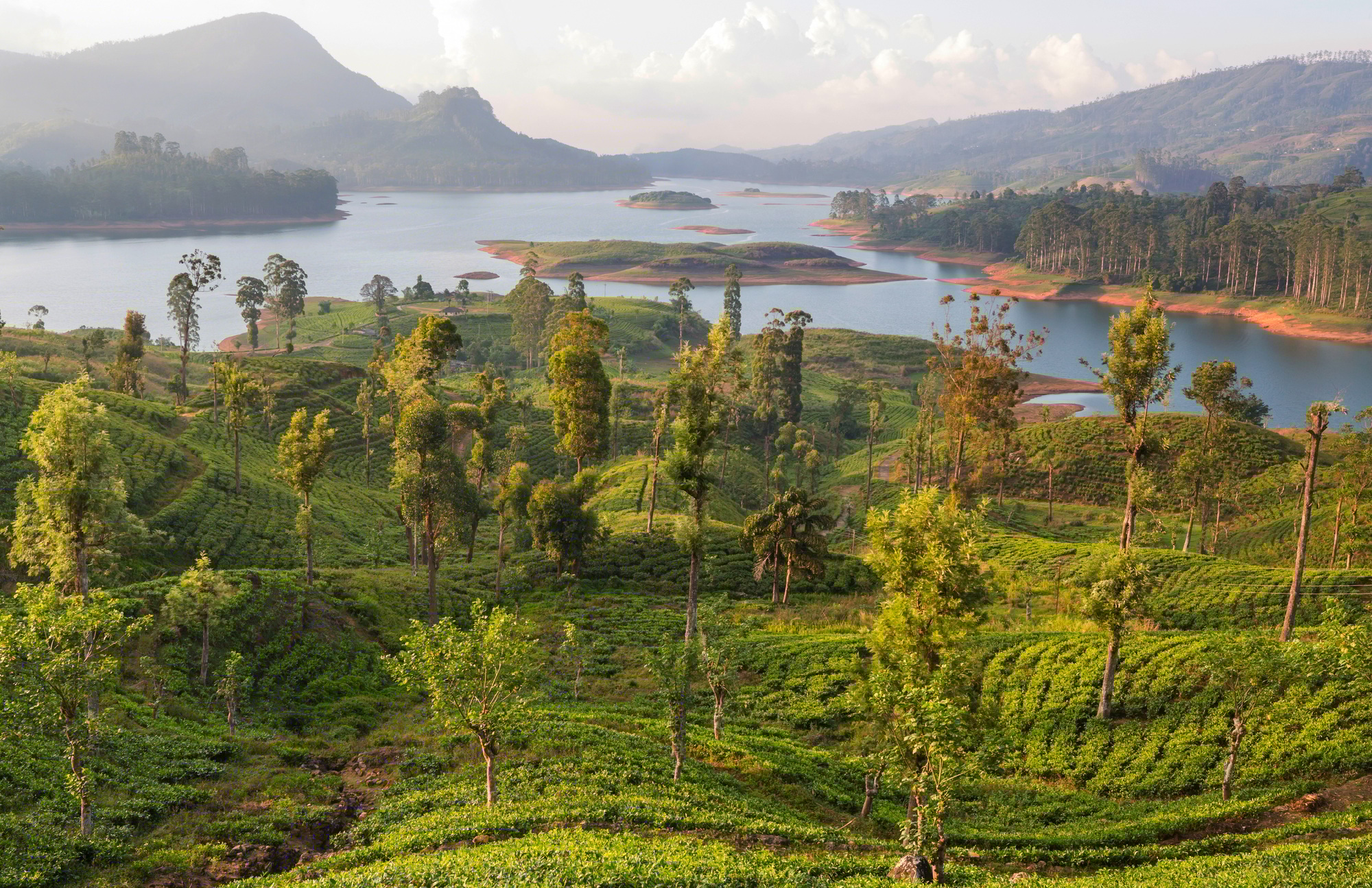 Lake on Sri Lanka