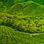 Top 10 Sri Lanka Tour Package Highlights with Ayon Lanka Holidays