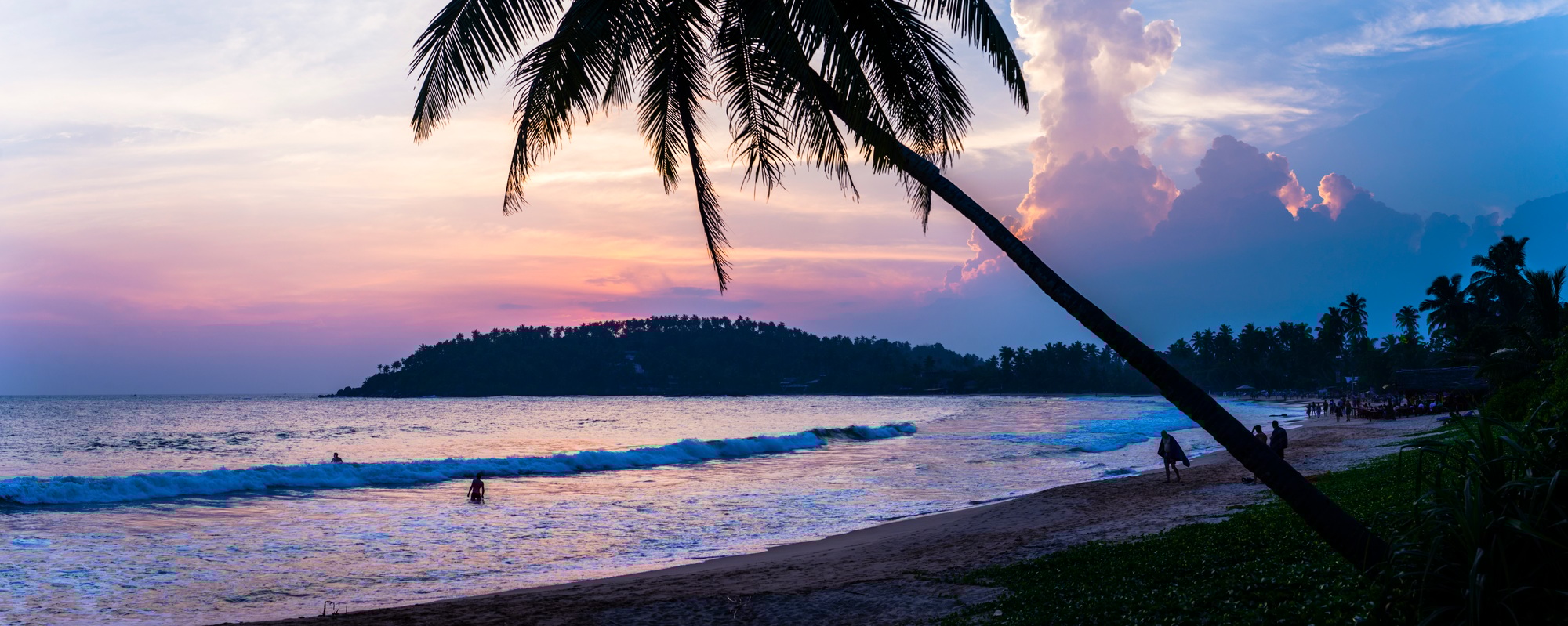 Mirissa, palm tree at sunset on Mirissa Beach, South Coast of Sri Lanka, Southern Province, Asia