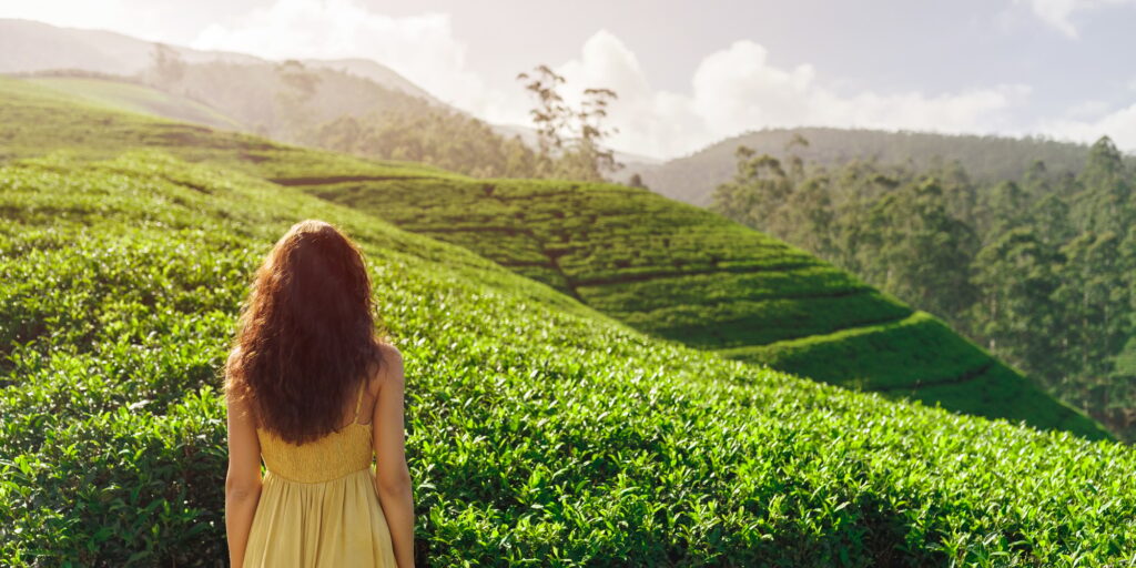 Sri Lanka Hill Country & Tea Trails: A Guide to Scenic Routes and Culture