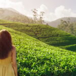 Sri Lanka Hill Country & Tea Trails: A Guide to Scenic Routes and Culture