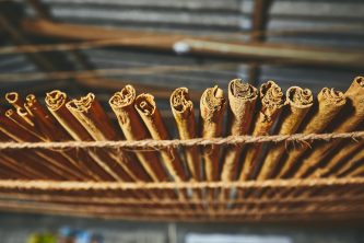 Drying of the cinnamon sticks in small workshop in Sri Lanka