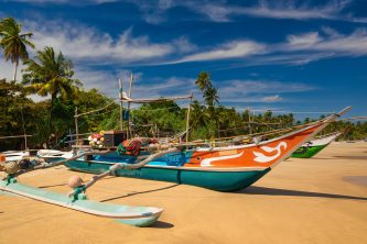 Traditional fishing boats on a sandy beach. Sri Lanka